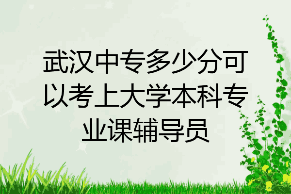 武汉中专多少分可以考上大学本科专业课辅导员