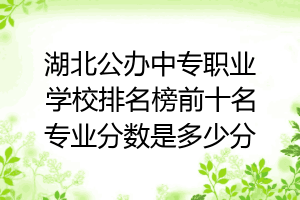 湖北公办中专职业学校排名榜前十名专业分数是多少分