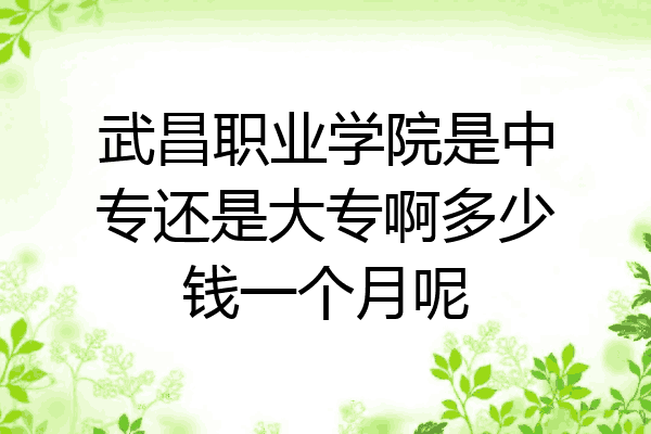 武昌职业学院是中专还是大专啊多少钱一个月呢