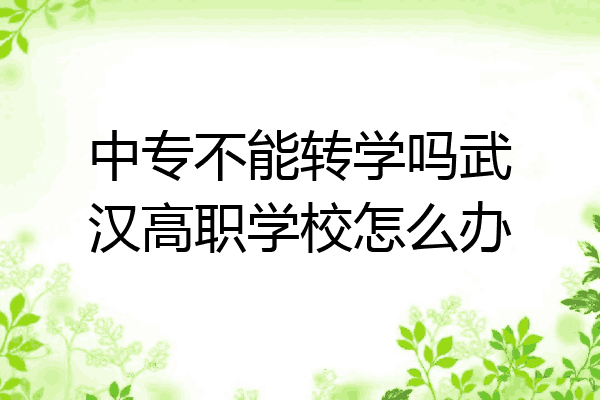 中专不能转学吗武汉高职学校怎么办