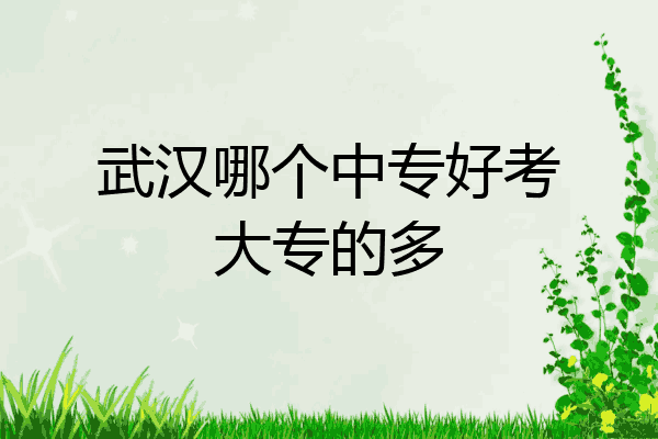 武汉哪个中专好考大专的多