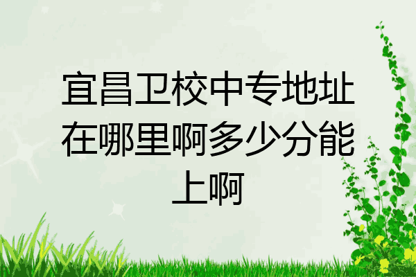 宜昌卫校中专地址在哪里啊多少分能上啊