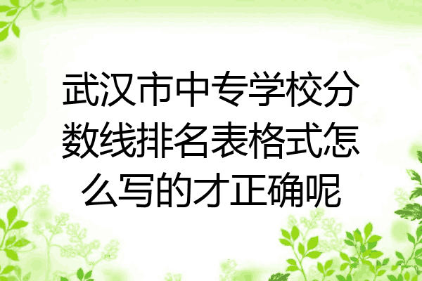 武汉市中专学校分数线排名表格式怎么写的才正确呢