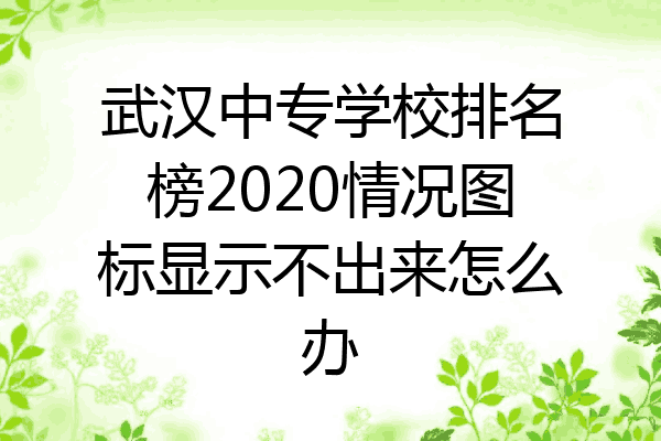 武汉中专学校排名榜2020情况图标显示不出来怎么办