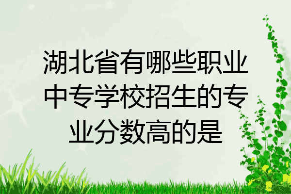 湖北省有哪些职业中专学校招生的专业分数高的是