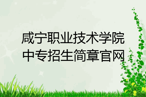 咸宁职业技术学院中专招生简章官网