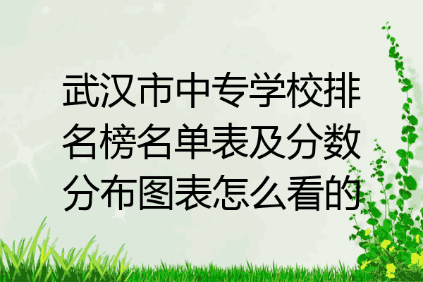 武汉市中专学校排名榜名单表及分数分布图表怎么看的