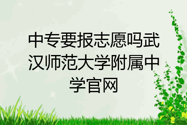 中专要报志愿吗武汉师范大学附属中学官网