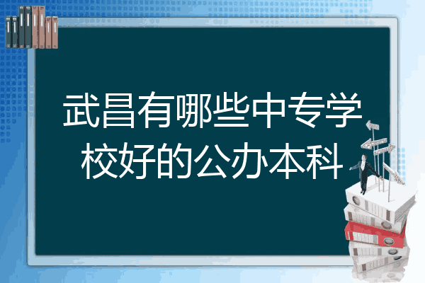 武昌有哪些中专学校好的公办本科