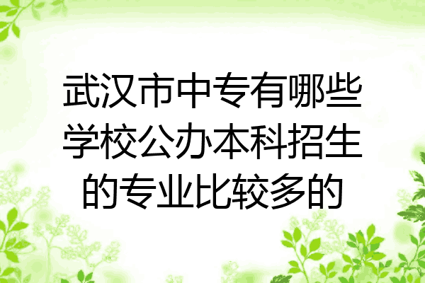 武汉市中专有哪些学校公办本科招生的专业比较多的