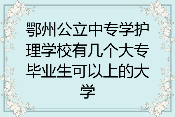 鄂州公立中专学护理学校有几个大专毕业生可以上的大学