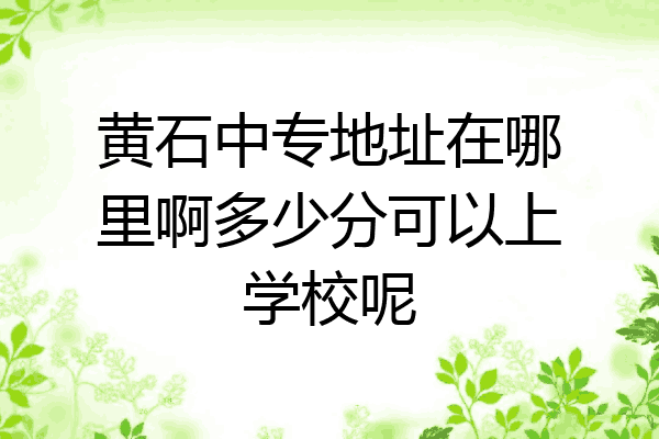 黄石中专地址在哪里啊多少分可以上学校呢