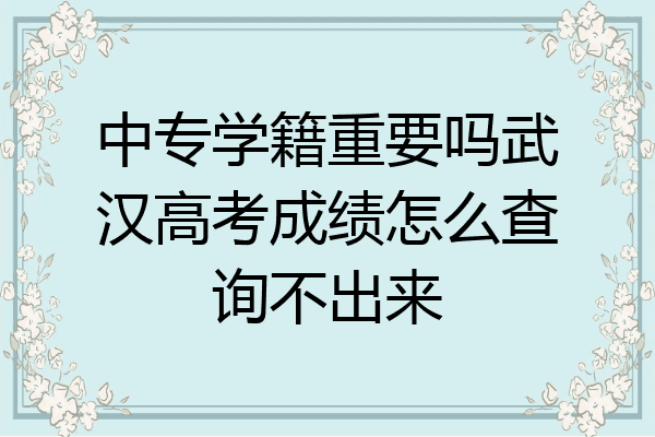 中专学籍重要吗武汉高考成绩怎么查询不出来