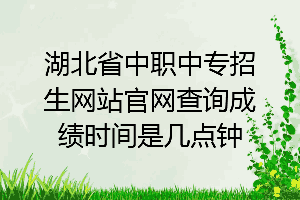 湖北省中职中专招生网站官网查询成绩时间是几点钟