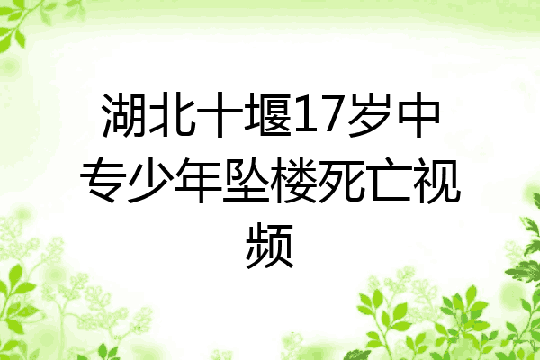 湖北十堰17岁中专少年坠楼死亡视频