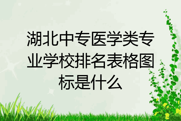 湖北中专医学类专业学校排名表格图标是什么