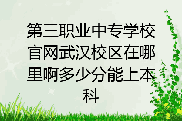 第三职业中专学校官网武汉校区在哪里啊多少分能上本科