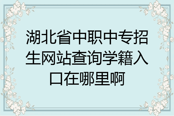湖北省中职中专招生网站查询学籍入口在哪里啊