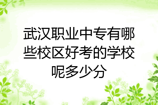 武汉职业中专有哪些校区好考的学校呢多少分
