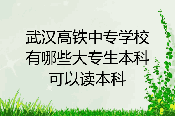 武汉高铁中专学校有哪些大专生本科可以读本科