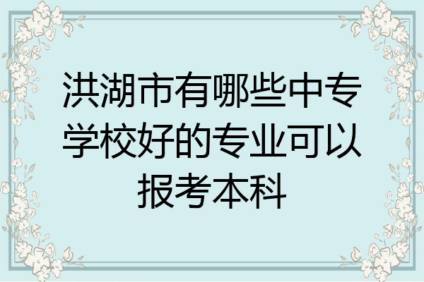 洪湖市有哪些中专学校好的专业可以报考本科