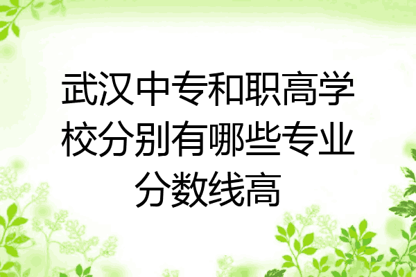 武汉中专和职高学校分别有哪些专业分数线高
