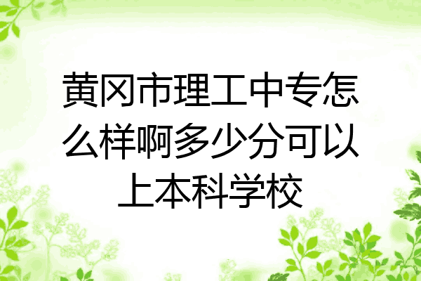 黄冈市理工中专怎么样啊多少分可以上本科学校