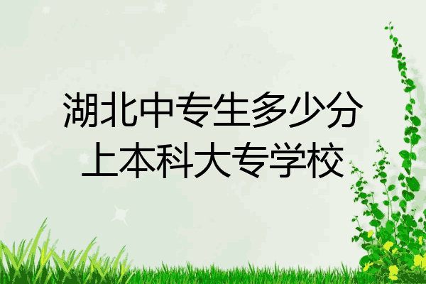 湖北中专生多少分上本科大专学校