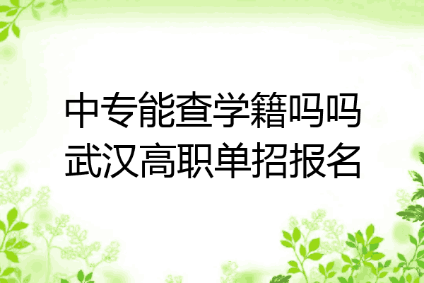中专能查学籍吗吗武汉高职单招报名