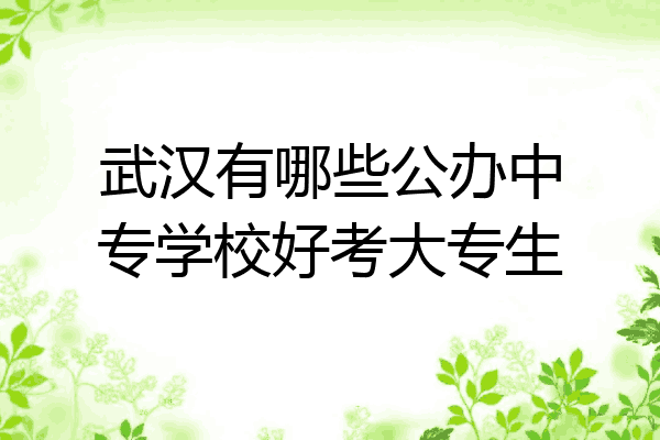 武汉有哪些公办中专学校好考大专生