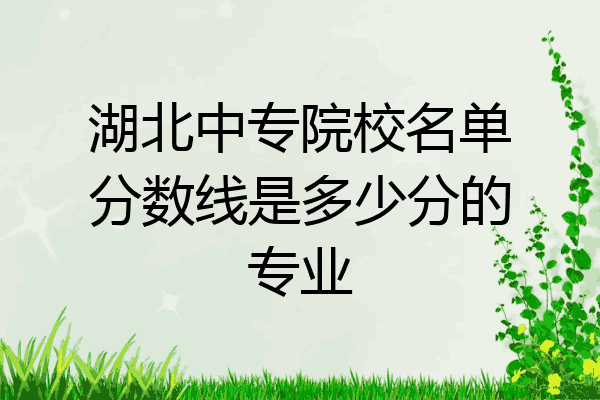 湖北中专院校名单分数线是多少分的专业