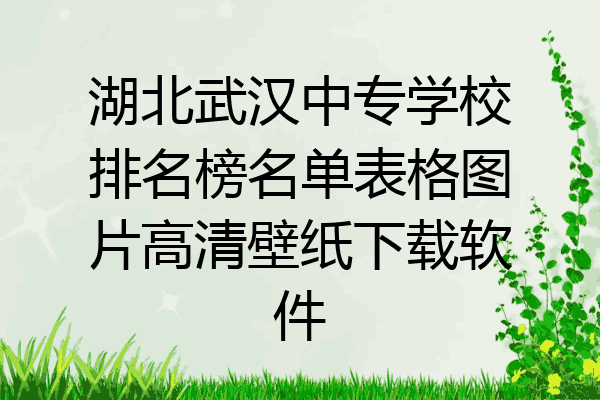 湖北武汉中专学校排名榜名单表格图片高清壁纸下载软件