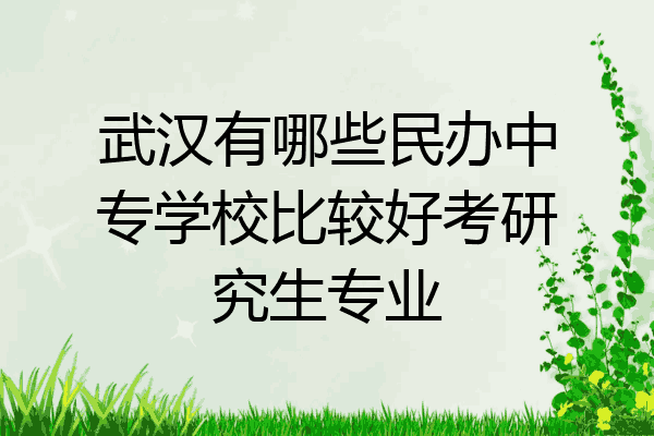武汉有哪些民办中专学校比较好考研究生专业
