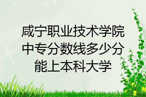 咸宁职业技术学院中专分数线多少分能上本科大学