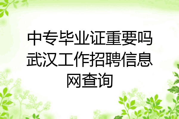 中专毕业证重要吗武汉工作招聘信息网查询