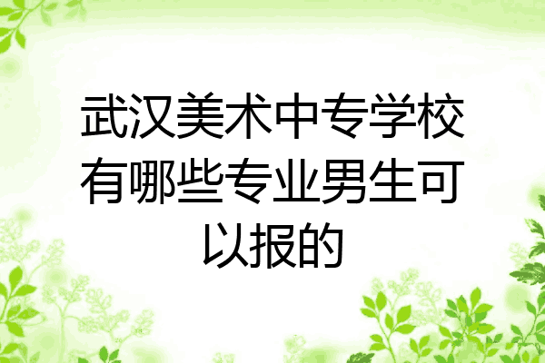 武汉美术中专学校有哪些专业男生可以报的
