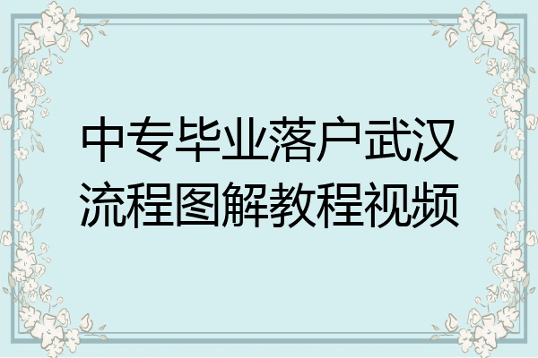 中专毕业落户武汉流程图解教程视频
