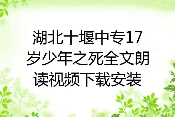 湖北十堰中专17岁少年之死全文朗读视频下载安装