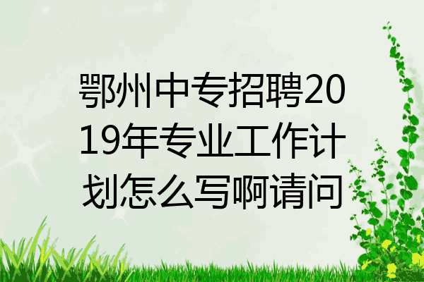 鄂州中专招聘2019年专业工作计划怎么写啊请问