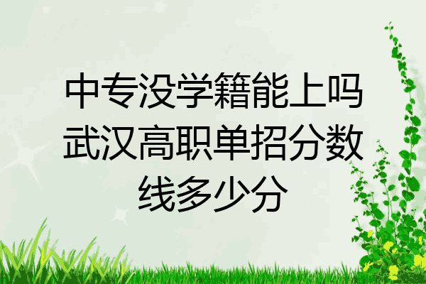 中专没学籍能上吗武汉高职单招分数线多少分