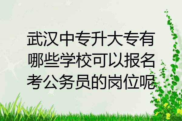 武汉中专升大专有哪些学校可以报名考公务员的岗位呢