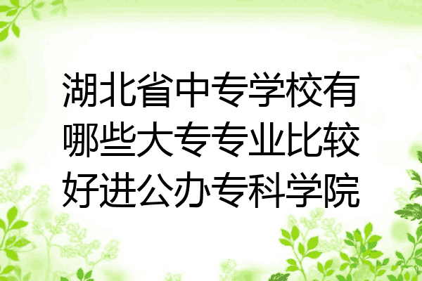 湖北省中专学校有哪些大专专业比较好进公办专科学院