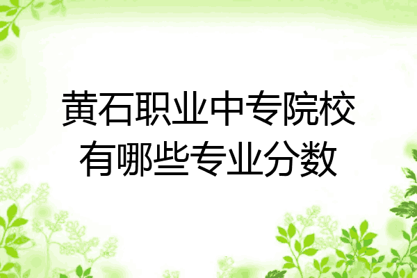 黄石职业中专院校有哪些专业分数