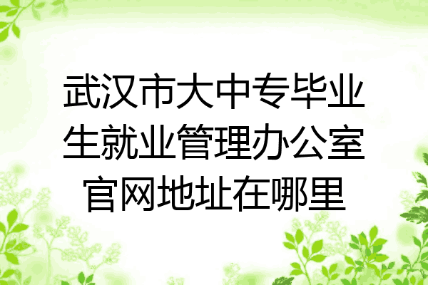 武汉市大中专毕业生就业管理办公室官网地址在哪里