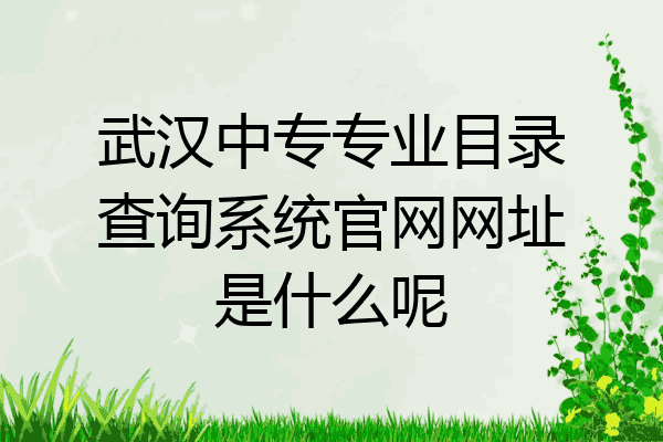 武汉中专专业目录查询系统官网网址是什么呢