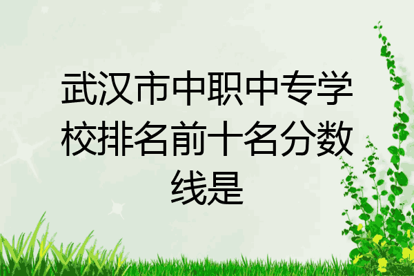 武汉市中职中专学校排名前十名分数线是