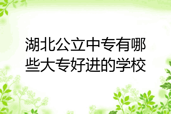 湖北公立中专有哪些大专好进的学校