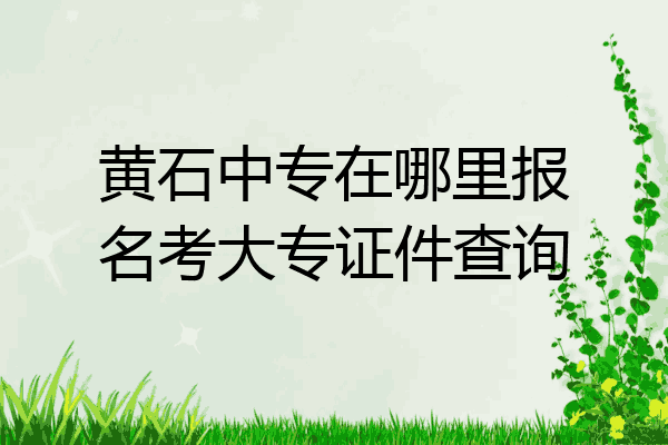 黄石中专在哪里报名考大专证件查询