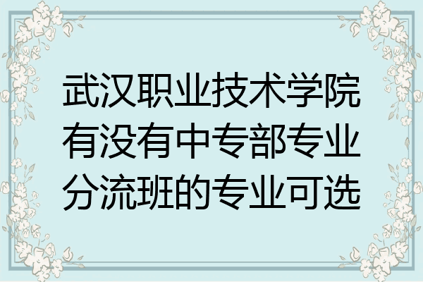 武汉职业技术学院有没有中专部专业分流班的专业可选