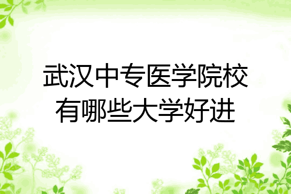 武汉中专医学院校有哪些大学好进